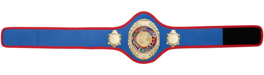 CHAMPIONSHIP BELT PRO286/G/WLDFLAGG - AVAILABLE IN 10+ COLOURS
